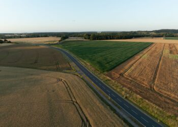 Reitanlagen als Immobilienprojekt 2026